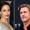 Brad Pitt bijesan na Angelinu Jolie: 'Prodaje naš vinograd i masline bez mog dopuštenja!'