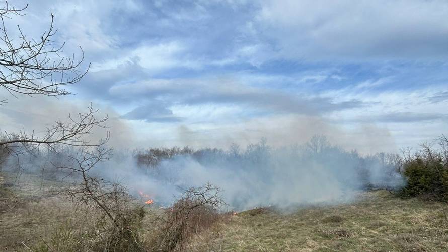 BUKTINJA U ISTRI Izgorjelo 10 hektara trave i raslinja. 'Ako bude potrebe, dižemo kanader'