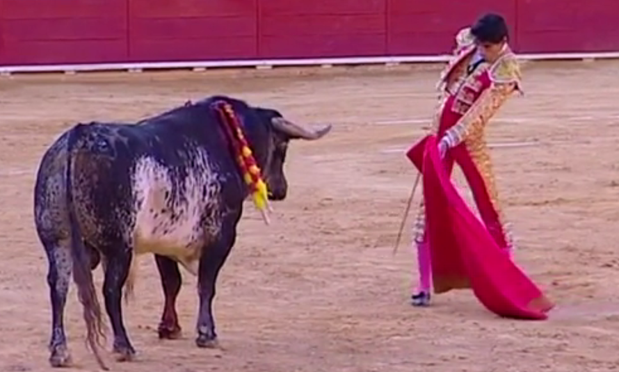 Umro ženi pred očima: Bik je toreadoru rog zabio u prsni koš