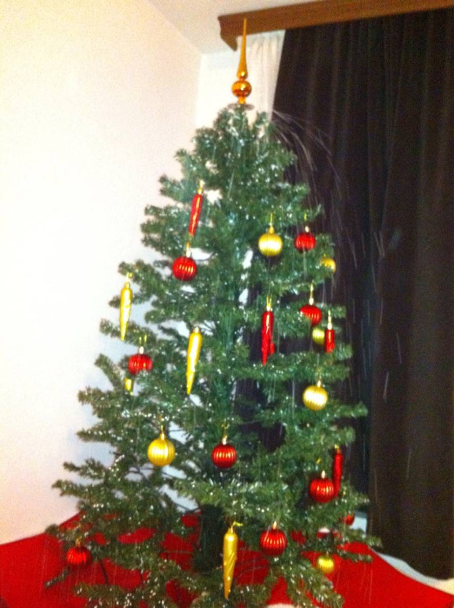 Šaljite fotografije božićnih jelki i osvojite vrijednu nagradu...