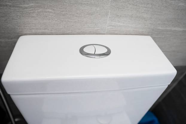 Close up on a flush toilet button for cleaning a toilet.