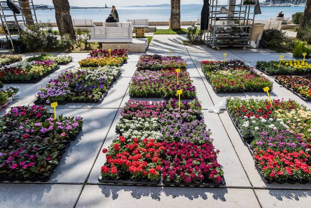 Otvorenje 49. sajma cvijeća u Splitu