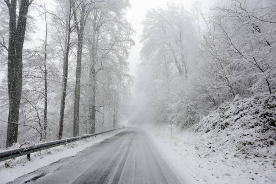 Borna Filić/Pixsell