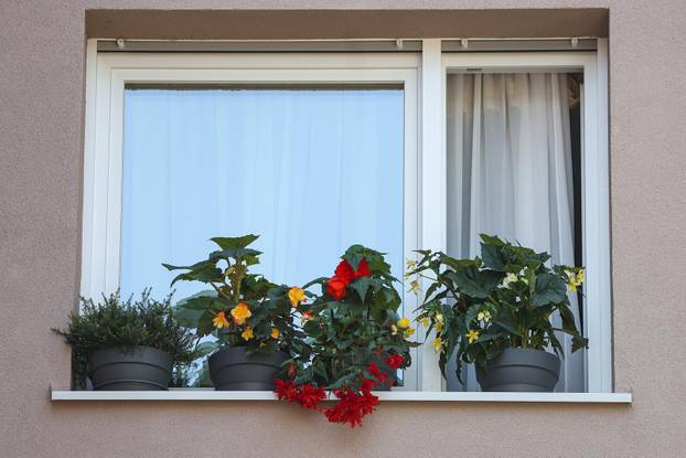 Zagreb: Jasenka Marija Kaštelan ima najljepši vrt na balkonu i ispred zgrade 