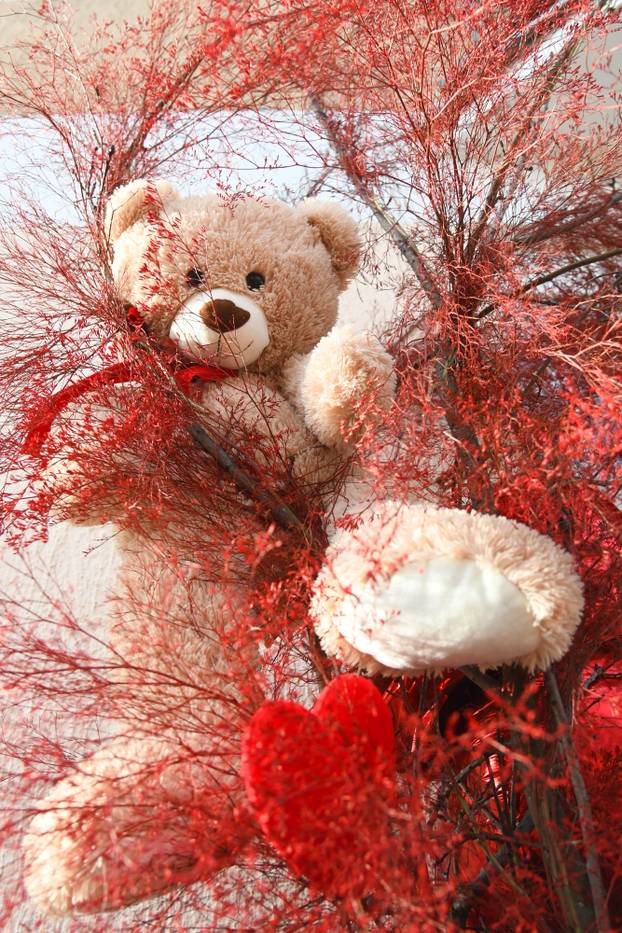 Valentinovo u Bjelovaru