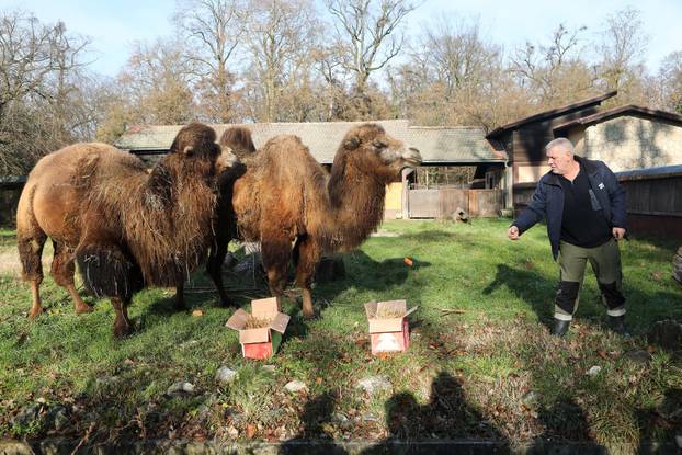 Tradicionalno darivanje životinja u zagrebačkom zoološkom vrtu na Štefanje