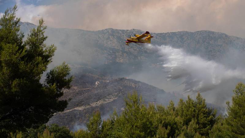 Buknuo požar kod Babinog polja na Mljetu, stigli kanaderi