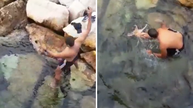 Urnebesna snimka lova na hobotnicu: 'Eto je, eto je ispod! Pazi stat ćeš nogom na nju!'