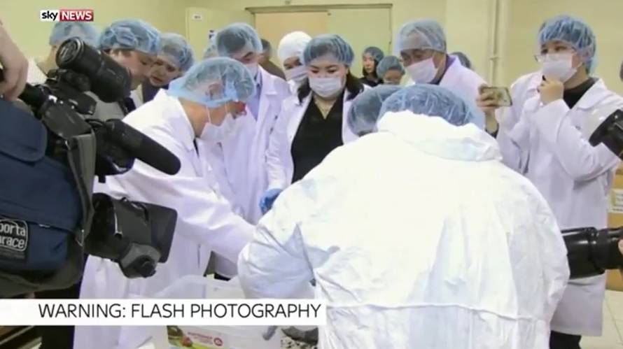 Pronašli su ostatke špiljskog lava i sada ga žele klonirati