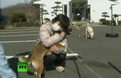 Nakon tsunamija našla psa: Više ju nikada neću napustiti