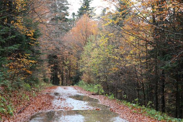 Delnice: Boje jeseni u Gorskom kotaru
