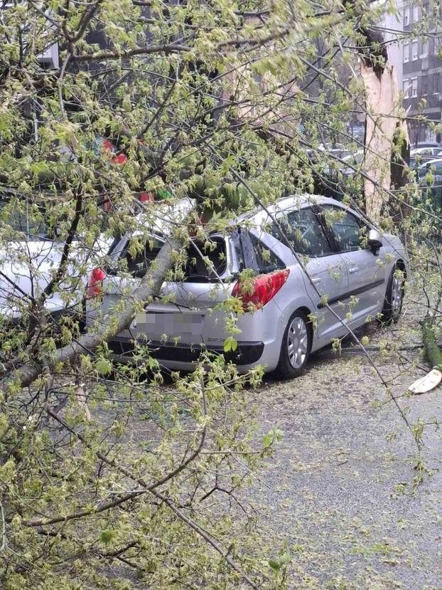 FOTO Apokalipsa u Zagrebu: Stabla drobila automobile, izdano novo upozorenje!
