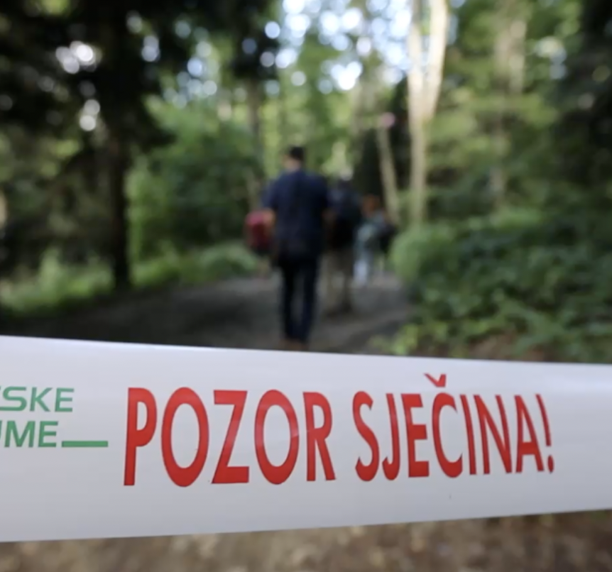 'Snažno nevrijeme u Hrvatskoj nanijelo je veliku štetu na šumama, ukupno 140 mil. eura'