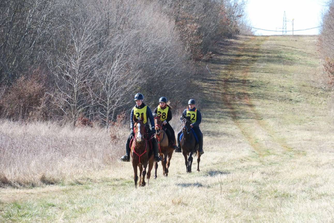 Završnica Croatia Cupa u daljinskom jahanju u Barbanu: "20 godina Endurancea u HR"