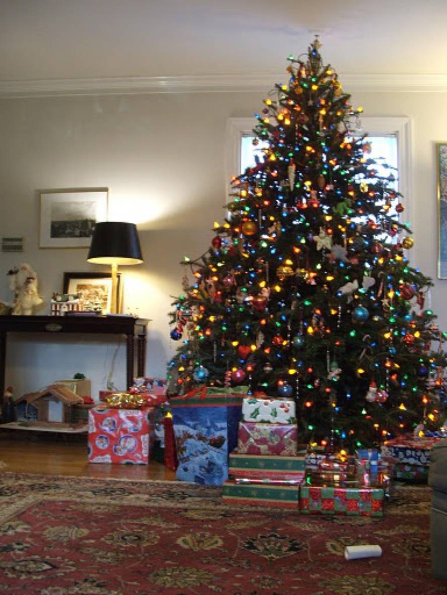 Šaljite fotografije božićnih jelki i osvojite vrijednu nagradu...