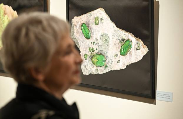 Zagreb: Otvorenje izložbe  Savršenstvo evolucije – Razotkrivanje