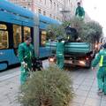 FOTO Radnici Čistoće odvoze božićna drvca s ulica Zagreba