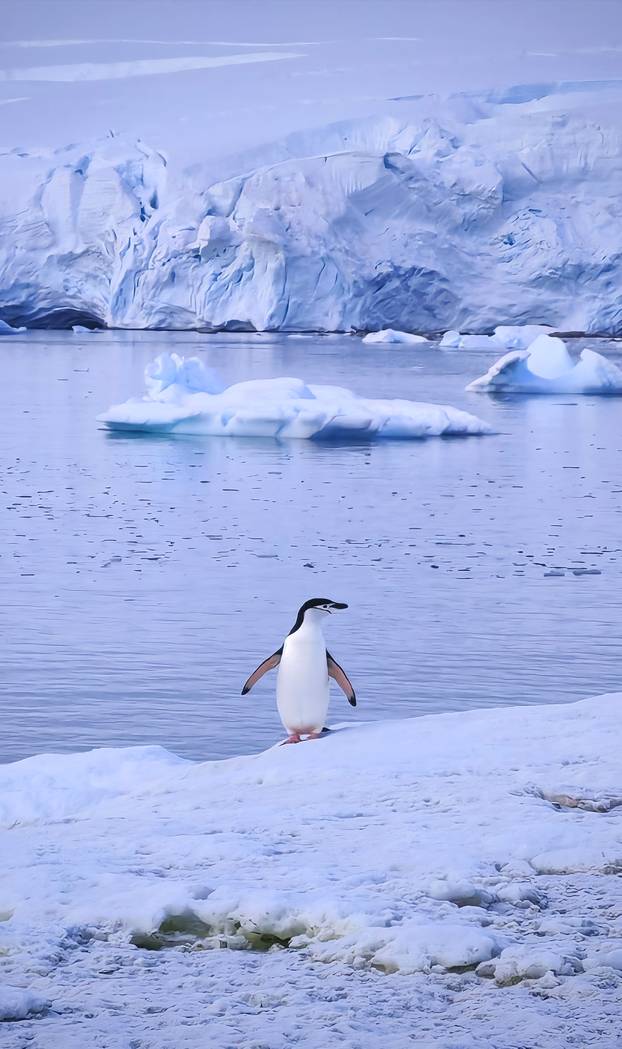 FOTO Par iz Dalmacije motorima obišao cijelu Južnu Ameriku: Pogledajte te prirodne ljepote!