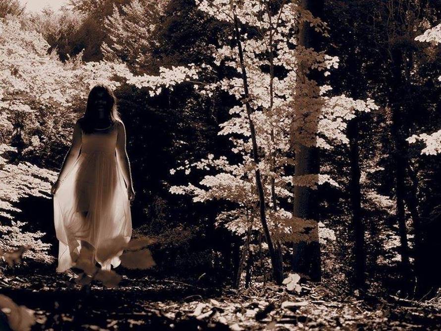 Samo pola sata provedena u šumi štite od raka dva mjeseca