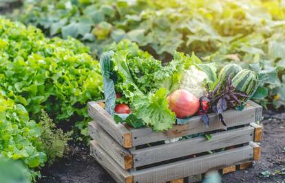 'Prljava dvanaestorka': Ovo su namirnice s najviše pesticida