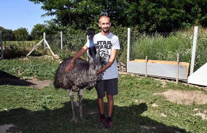 Zoološki vrt na obiteljskom imanju: 'Moj emu Shawn je jako miran i voli se maziti'