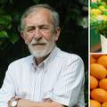 Jedemo sigurne namirnice bez previše ostataka pesticida, našli ih tek u turskim mandarinama