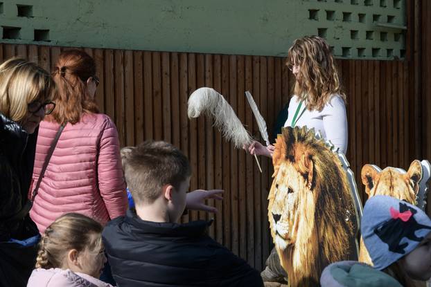 Egzotični vikend u Zoološkom vrtu u Zagrebu: Upoznajte raznoliki životinjski svijet Afrike