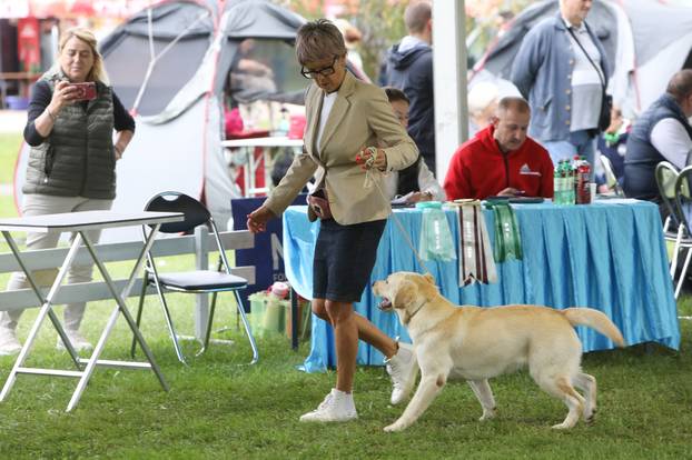 Karlovac: Me?unarodna izložba pasa