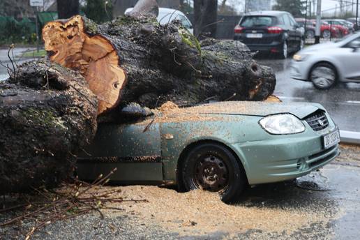 FOTO Apokalipsa u Zagrebu: Stabla drobila automobile, izdano novo upozorenje!