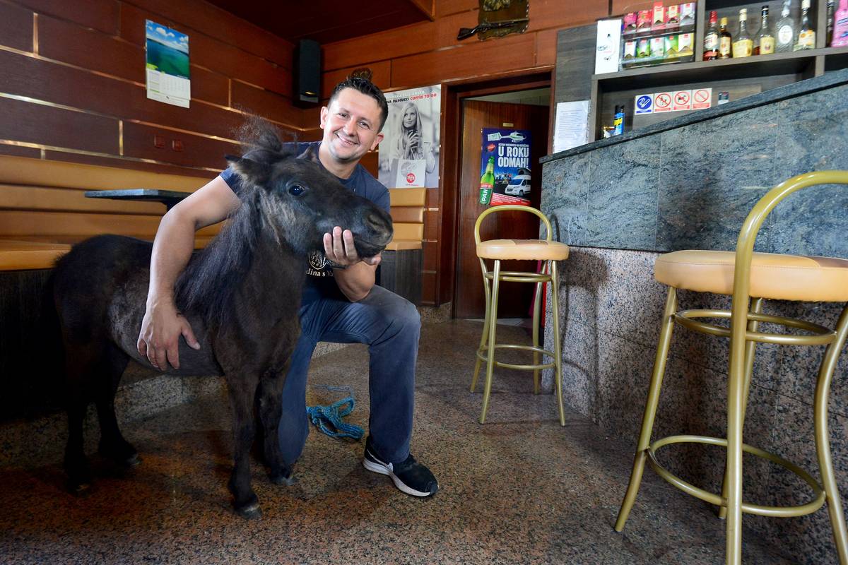 'Meni daj jedan sok od mrkve, a dečkima ponovi što već piju...'