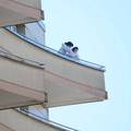 Misterij smrti u Švicarskoj: Pet članova obitelji skočilo je s balkona, preživio samo dječak