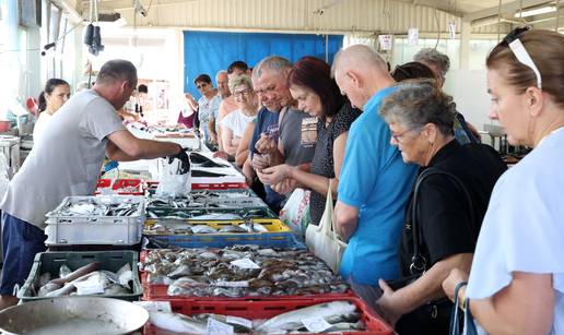 FOTO Pogledajte što se sve nudi na šibenskoj ribarnici: Papaline po pet eura, kozice i orada 20...