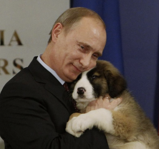 Srbi Putinu daruju štene: Ovo je Paša i imat će 60 kilograma 24sata