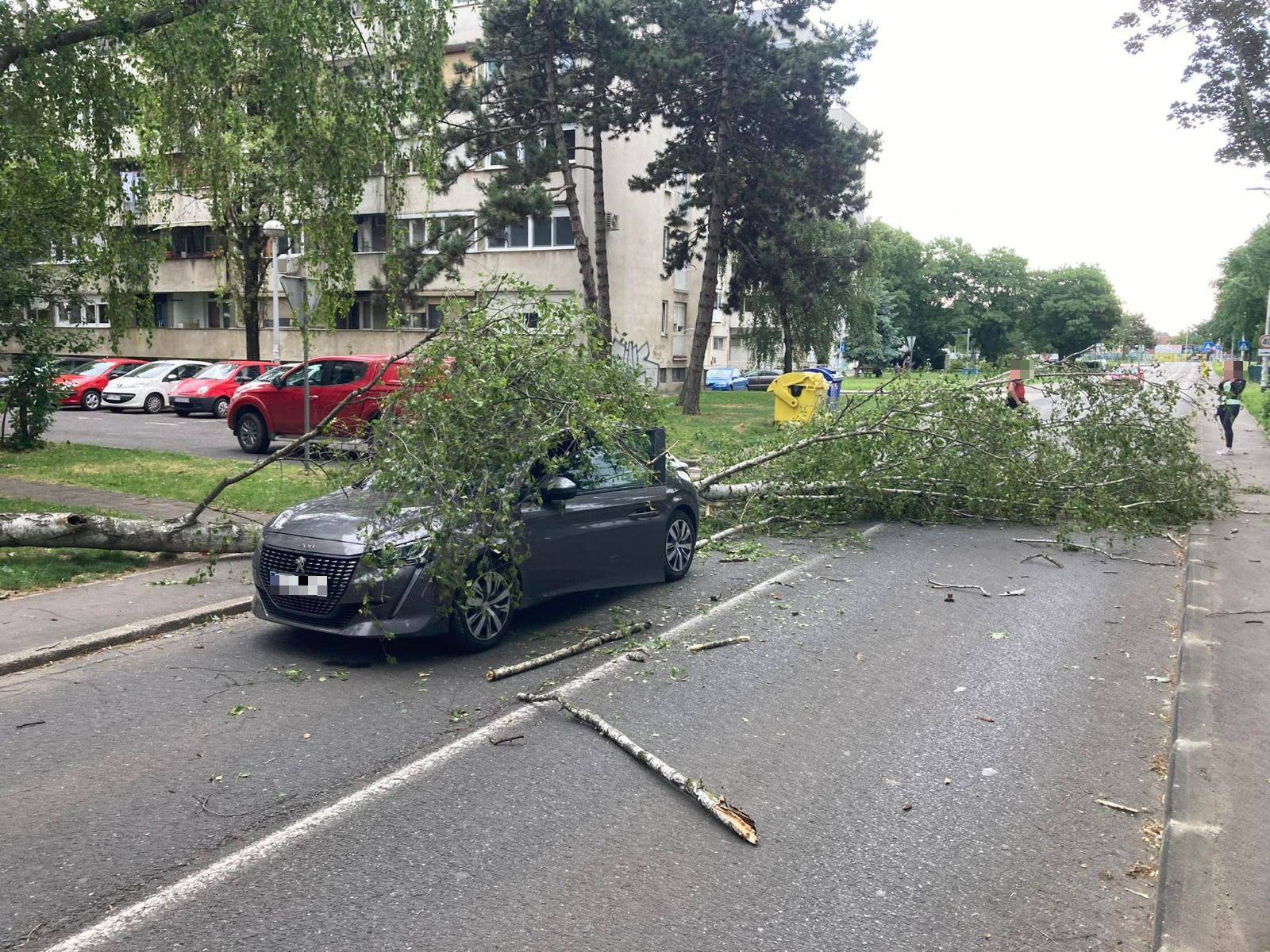 Vjetar ruši stabla u Zagrebu: 'Palo mi je pred očima, moglo je i na mene. Vozač auta je dobro'