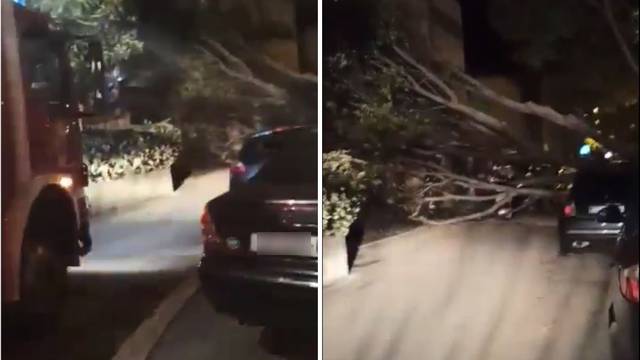 VIDEO Jaka bura u Splitu srušila stablo na aute, vatrogasci imali 4 intervencije: 'Baš je strašno'