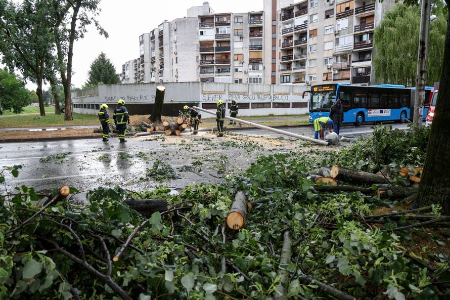 Zagreb: Vatrogasci uklanjaju stablo koje je palo u Ulici Svetog Mateja