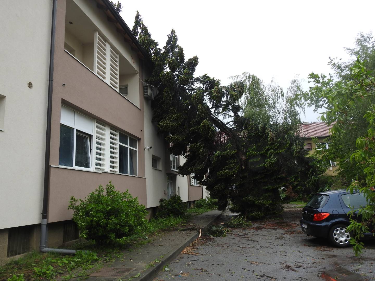 Strašno nevrijeme poharalo i Koprivnicu: Vjetar čupao i lomio stabla, nastala ogromna šteta