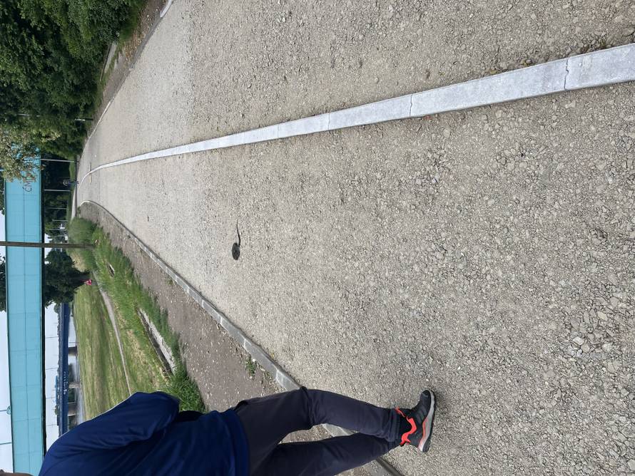 VIDEO Zmiju ribaricu snimili su uz savski nasip u Zagrebu: 'Bila je na puteljku, nije se bojala'