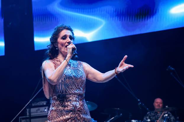 Frankfurt: Hrvatska noć u Suwag Energie Areni