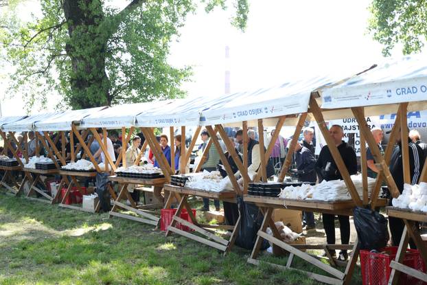 Osijek: Podjela graha na lijevoj obali Drave na Praznik rada