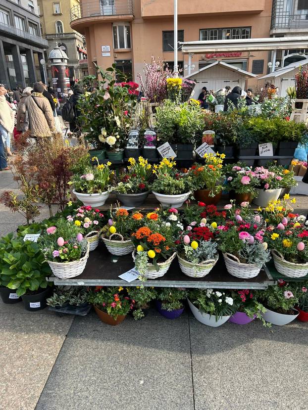 FOTO Građani šokirani! Za kilu janjetine 20 eura, rajčice po 7, a orada na Dolcu čak 28 eura
