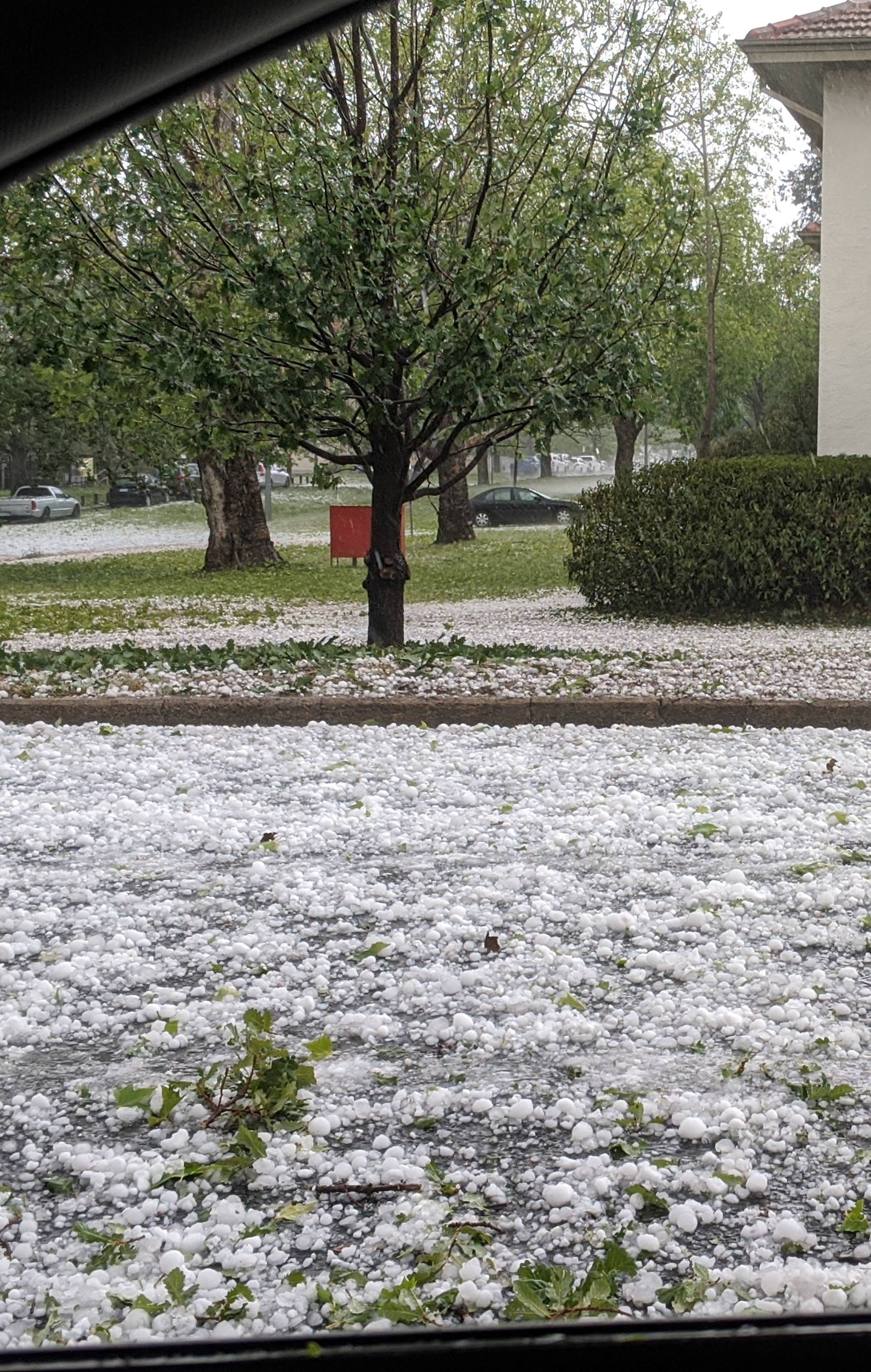 Golf ball-sized hail carpet a street after a hailstorm in Canberra