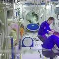 VIDEO Žetva u svemirskom vrtu: Kinezi uzgojili povrće na postaji