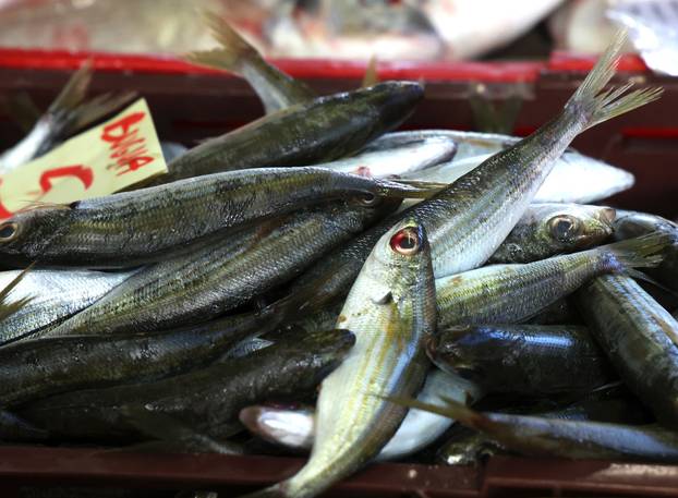Šibenik: Ponuda ribe na šibenskoj ribarnici