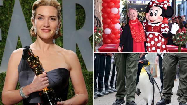 Činjenice o svijetu, ali i Kate Winslet, koje će vas razveseliti