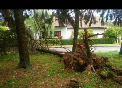 FOTO Pogledajte koliku je štetu napravilo jako nevrijeme u Sisačko-moslavačkoj županiji