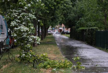 FOTO Pogledajte kako je snažno nevrijeme zahvatilo Zagreb: Na cestama kaos, srušena stabla...