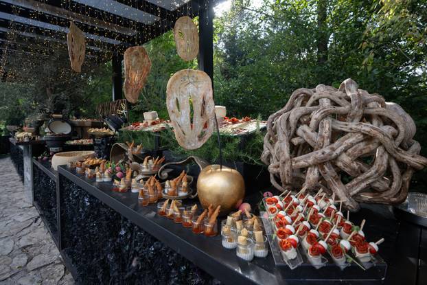 Zagreb: Grupa Joy proslavila 30 godina karijere