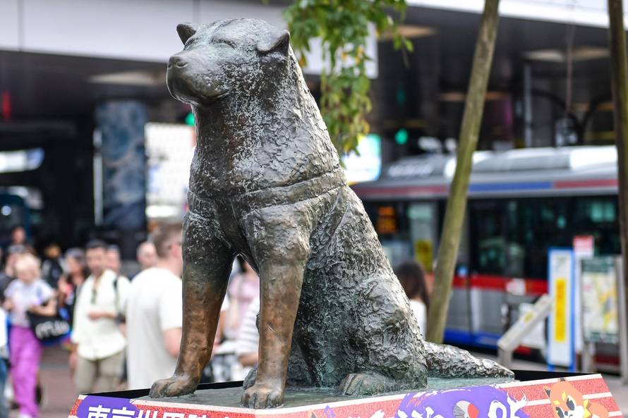 Statue of Hachiko, Shibuya. Tokyo, Japan