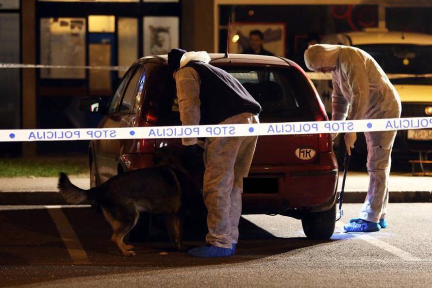 Jurica Galoić/Pixsell